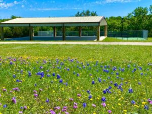 Hidden Springs POA - Salado Texas